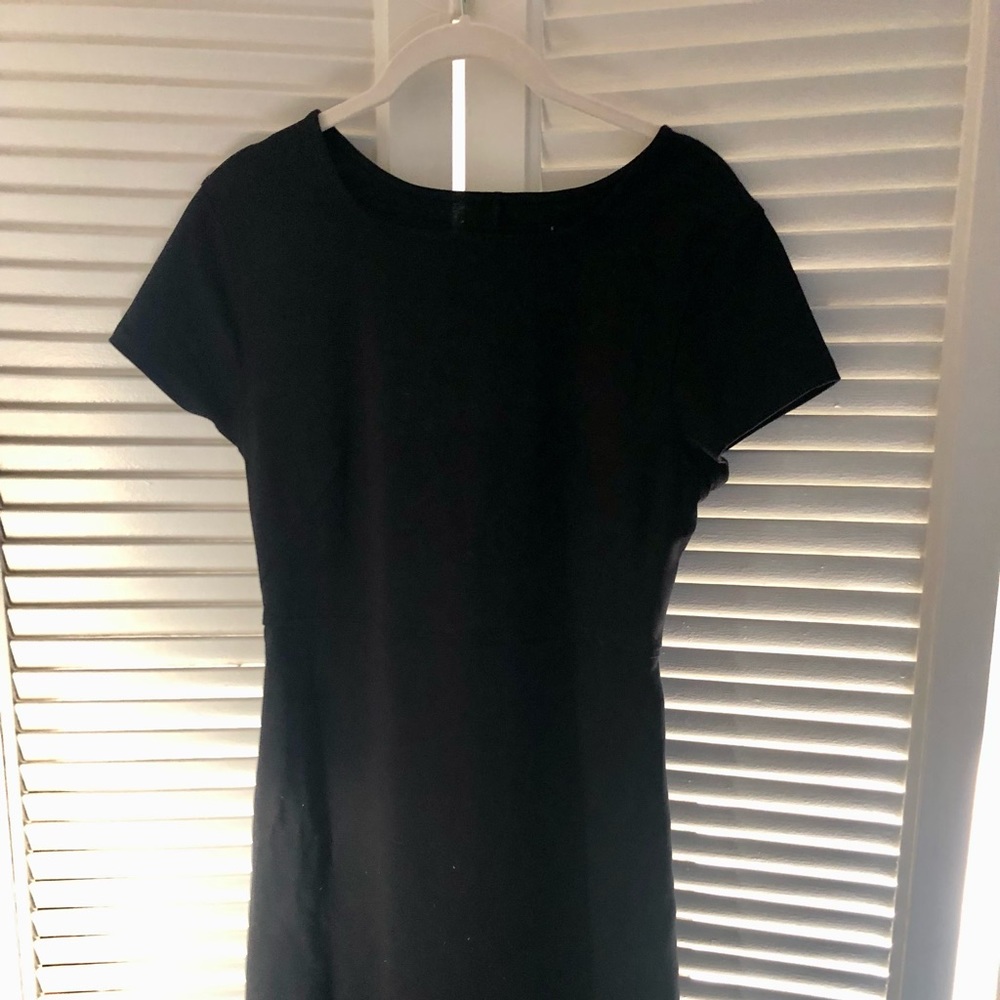 Never worn Everlane Party of One dress.